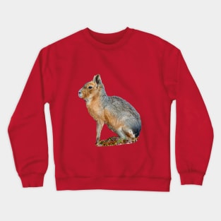 Mara or Patagonian Hare Crewneck Sweatshirt